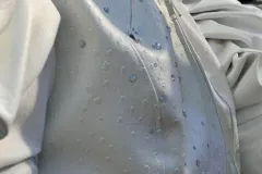 Robe White wing