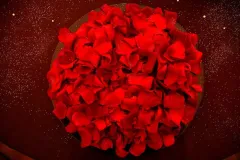 Robe Coquelicot