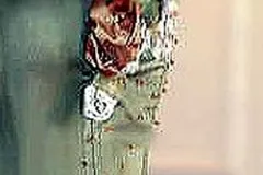 Robe Delphine