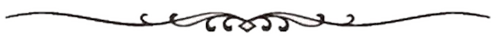 Line_Separator-01_motif-01_header_ALTTXT